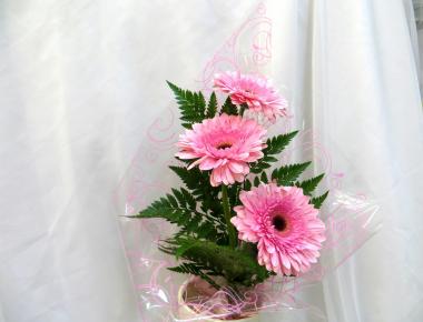 Цветы недорого «Розовый фламинго»