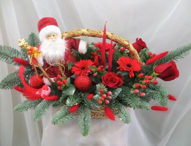 Цветы на новый год «Дед мороз пришел»