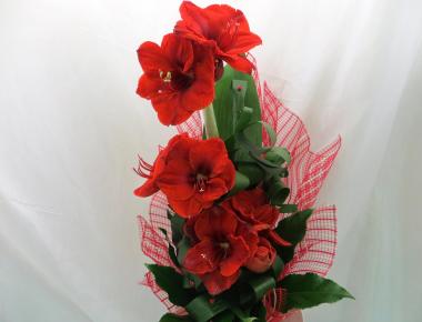 Букет цветов «Красный май»