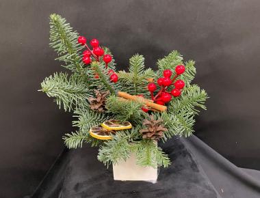 «Напевы вьюги 1» Новогодняя композиция из нобилиса 