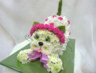 Кот из цветов «Муренок»