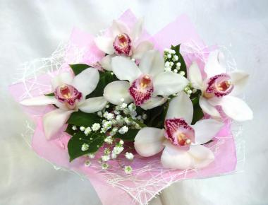 Букет из орхидей «Недорого, но мило»