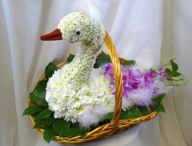 Цветы для мамы «Царь птица»