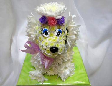 Цветы на день рождения «Собачка Пыжик»