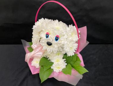 Собачка из живых цветов «Ангел озарил»