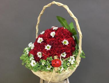 Цветы на день рождения «Ягодка красная»