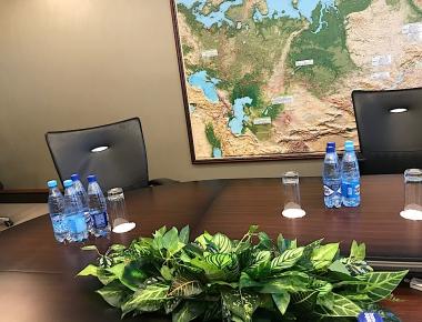 Композиция на стол переговоров «Зеленое море тайги»
