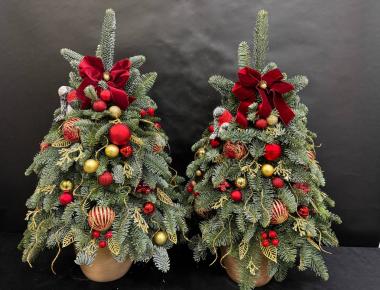 «Красные узоры 1» Композиция из нобилиса 