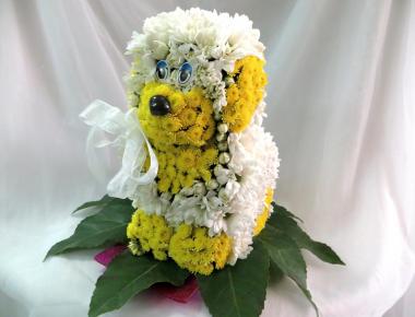  Игрушка цветов «Белый пес, желтое ухо»