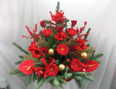 Цветы на новый год «Рождество»