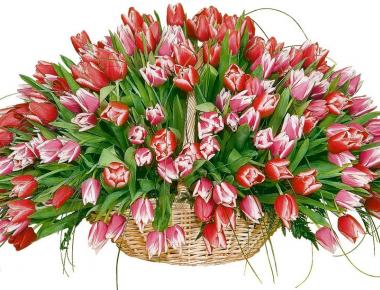 Цветы на 14 февраля «Тюльпановое счастье»