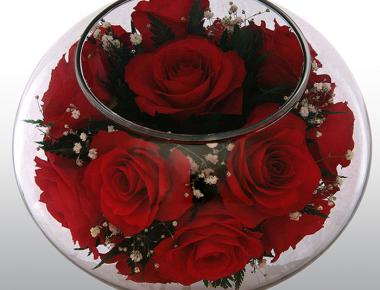 Цветы на 14 февраля «Краски любви»