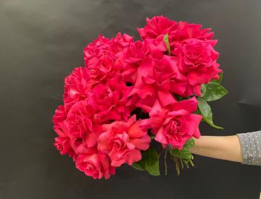 Букет из роз «Серенада любви»