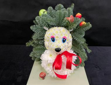 «В лесной глуши» Ёжик из нобилиса живая ель