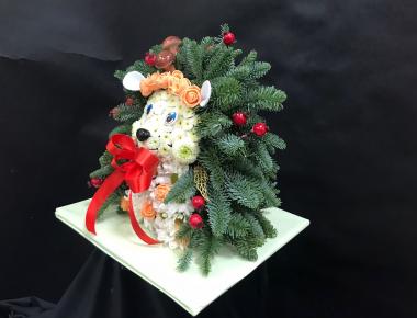 «Сказочный гость» Композиция из нобилиса живая ель