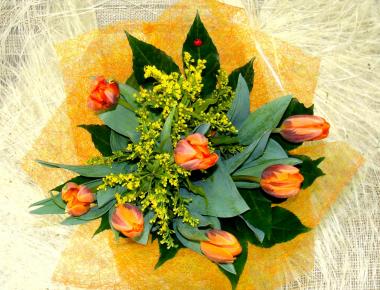 Цветы недорого «Тюльпановое счастье»