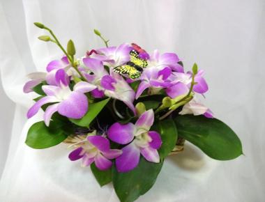 Цветы недорого «Орхидея»