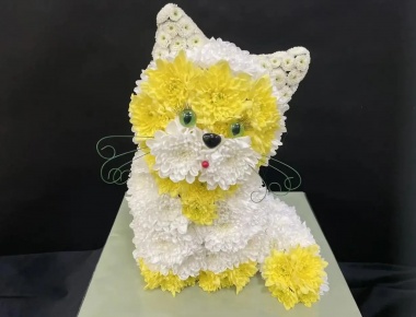 Котик из живых цветов «Ласковое солнышко»