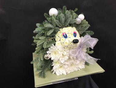 «Серебро и изумруд» живая ель