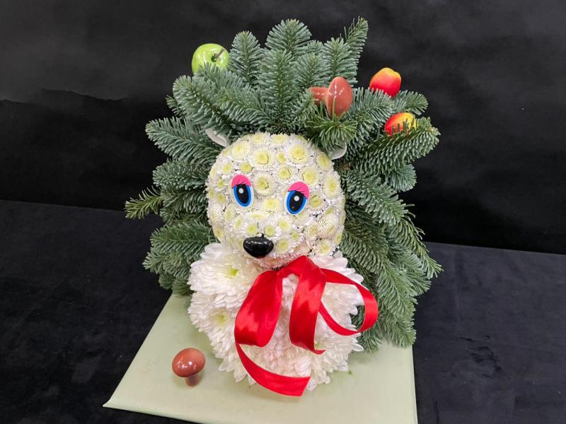 В лесной глуши Ёжик из нобилиса живая ель