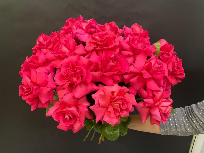 Букет из роз Серенада любви