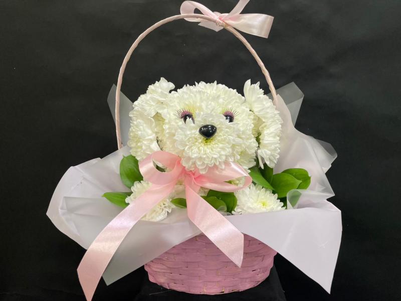 Собачка из живых цветов Маленький дружок