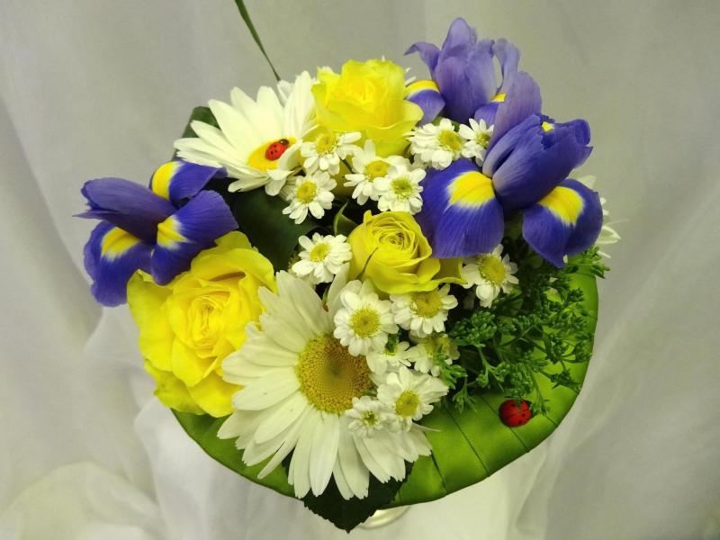 Букет цветов Василек