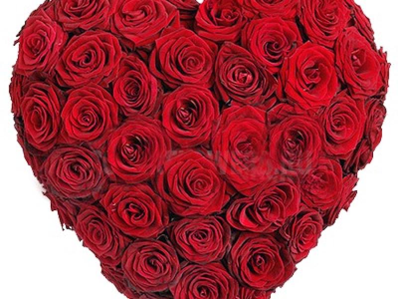 Сердце из цветов на 14 февраля  Для тебя любимая