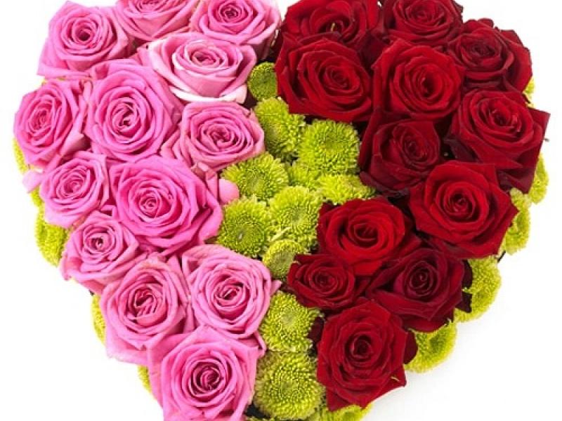 Цветы на 14 февраля  Цвет любви