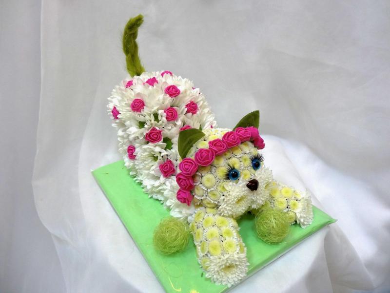 Котик из цветов Мошка