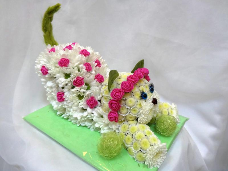 Котик из цветов Мошка