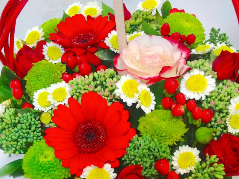 Цветы для учителя Радость дня