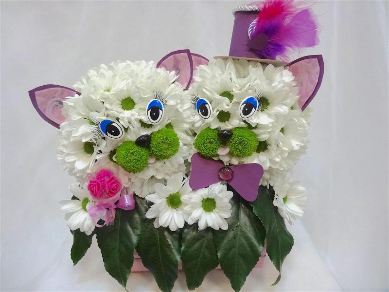 Котики из цветов Баунти 3