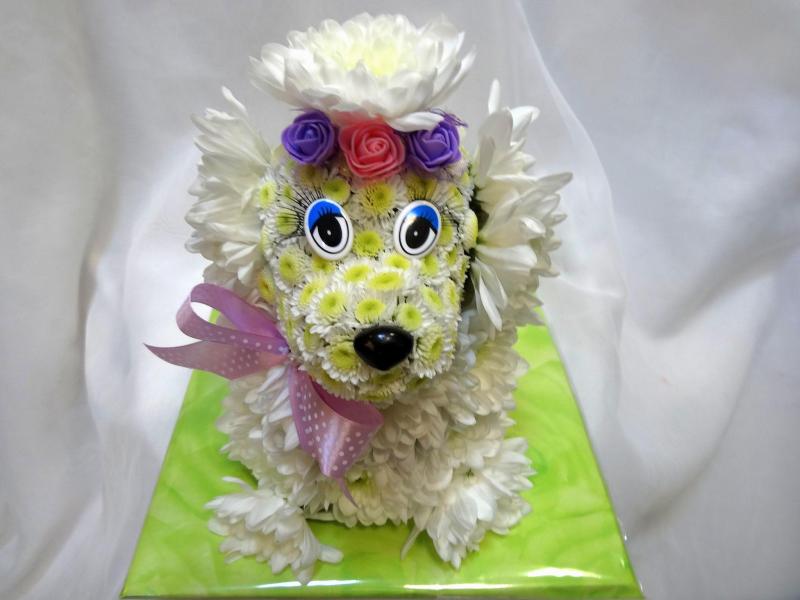 Цветы на день рождения Собачка Пыжик