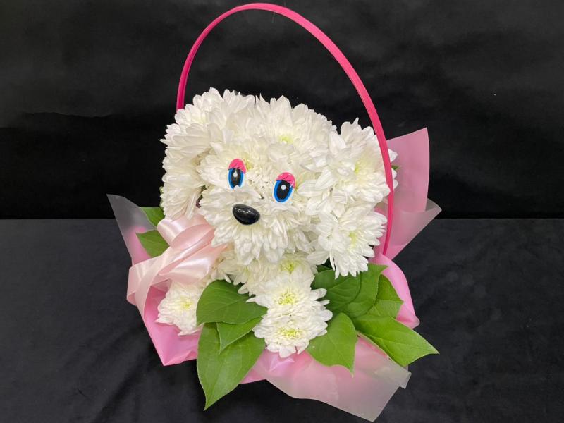 Собачка из живых цветов Ангел озарил