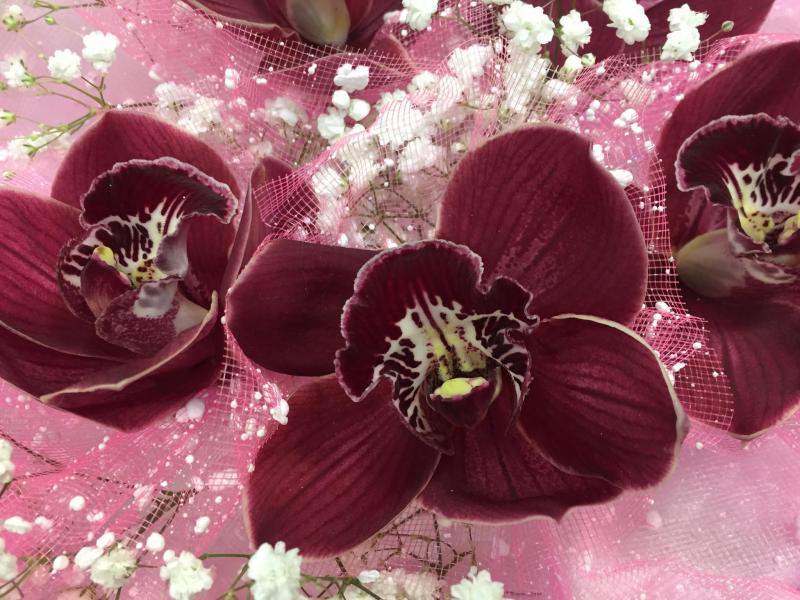 Новый цвет звезды Букет из орхидей