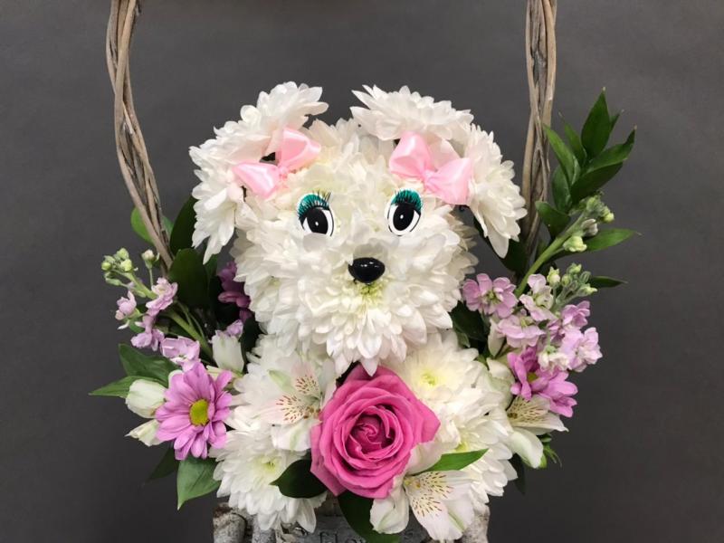 Собачка Линда Цветы на день рождения