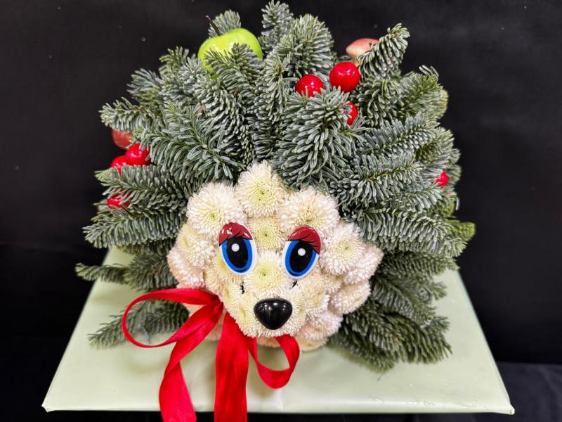 Гоша Ёжик из нобилиса живая ель