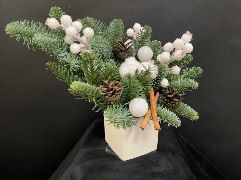 Напевы вьюги Новогодняя композиция из нобилиса 