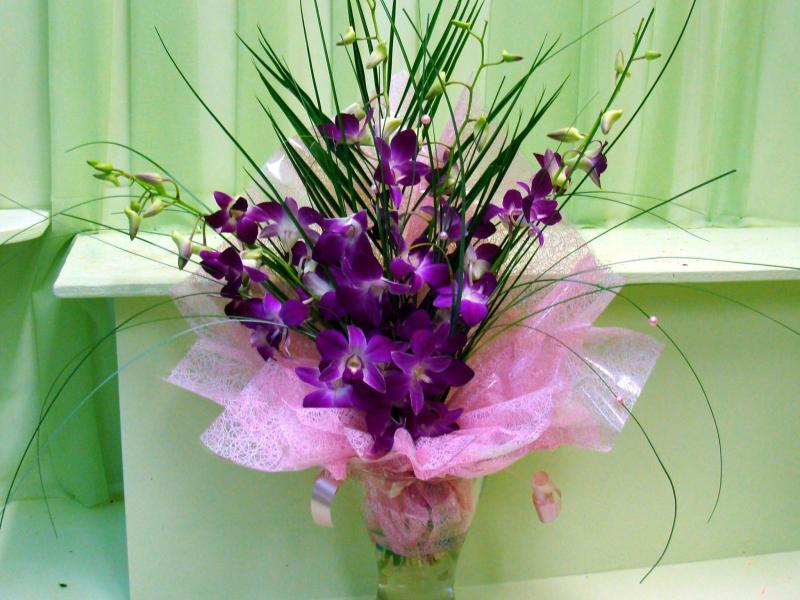 Цветы недорого Из орхидей