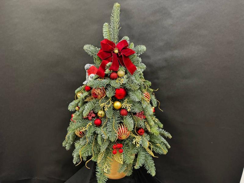 Красные узоры 1 Композиция из нобилиса 