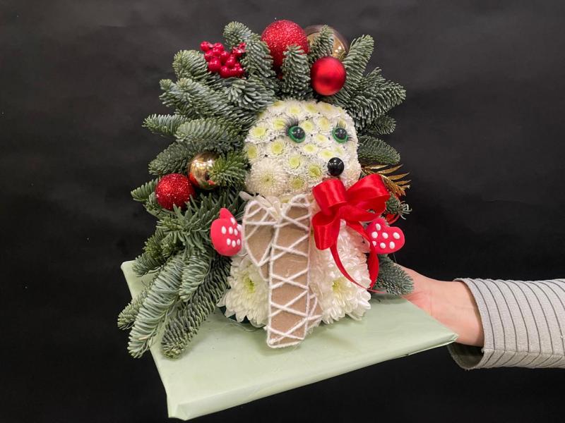 Страж лесной Ёжик из нобилиса живая ель