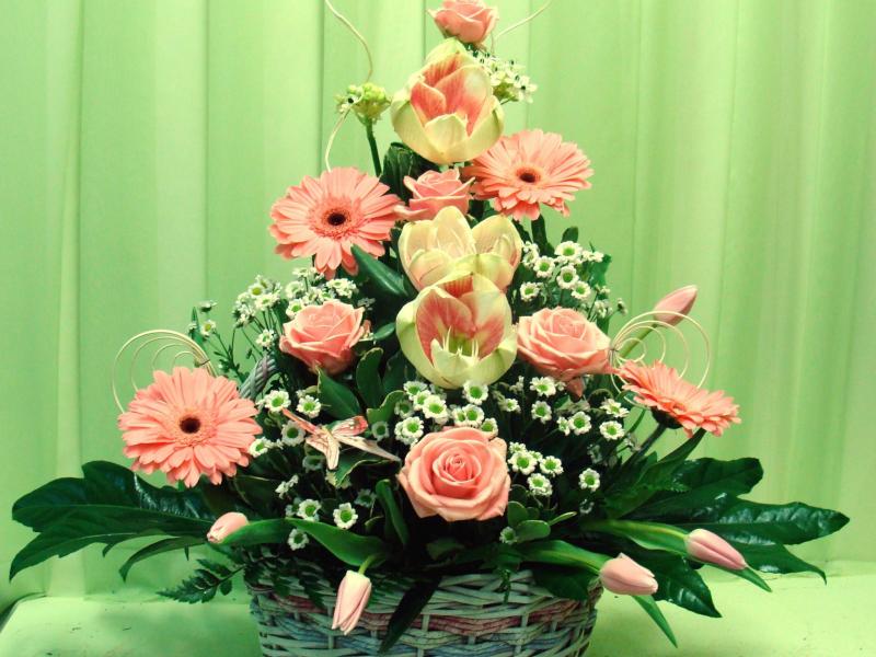 Композиция Примьера