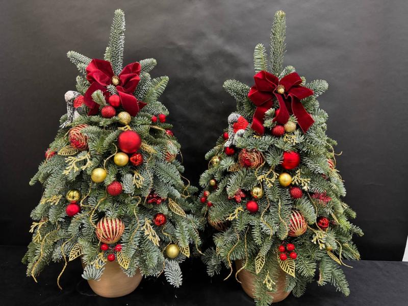 Красные узоры 1 Композиция из нобилиса 