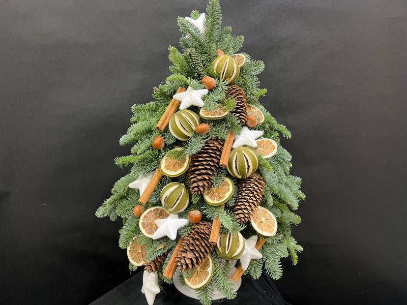 Золотые напевы 1 Композиция из нобилиса 