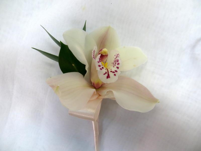 Бутоньерка для жениха Орхидея
