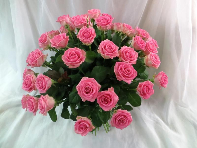 Букет цветов 51 розовая роза