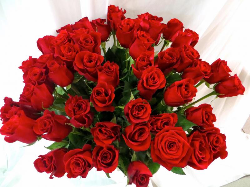 Букет цветов 51 красная роза