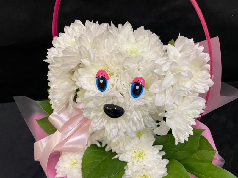 Собачка из живых цветов Ангел озарил