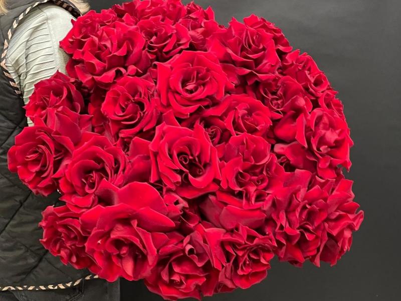 Букет из роз Бархатным, благодатным светом